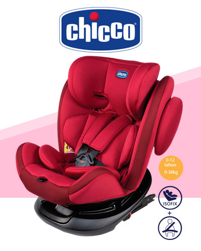 chikko_400 chikko_400